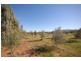 Lot 85 Coonawarra Road, Murray Bridge SA 5253