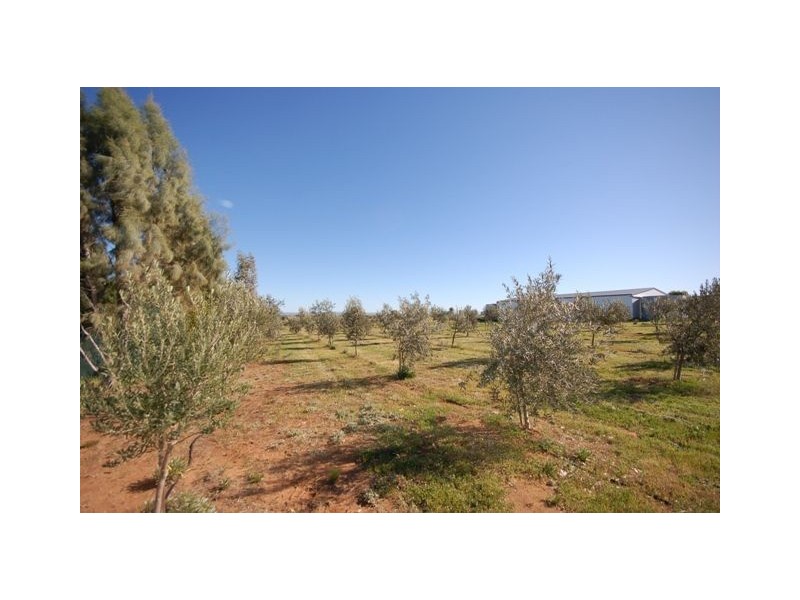 Lot 85 Coonawarra Road, Murray Bridge SA 5253