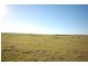 Lot 242 Flagstaff Road, Murray Bridge SA 5253