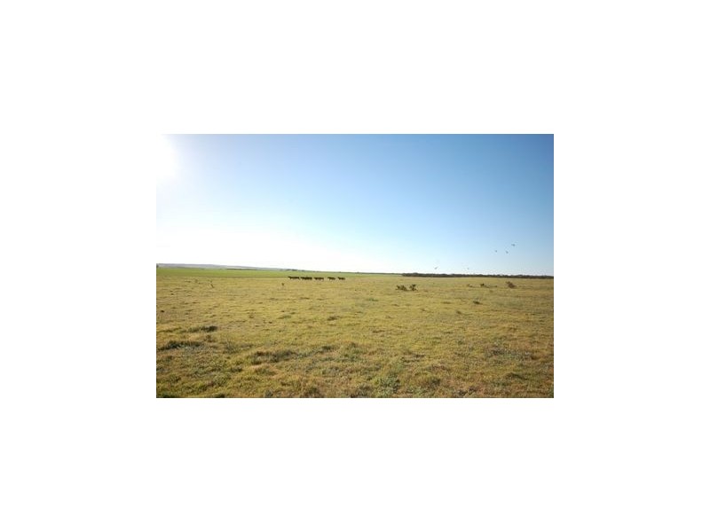 Lot 242 Flagstaff Road, Murray Bridge SA 5253