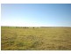 Lot 242 Flagstaff Road, Murray Bridge SA 5253