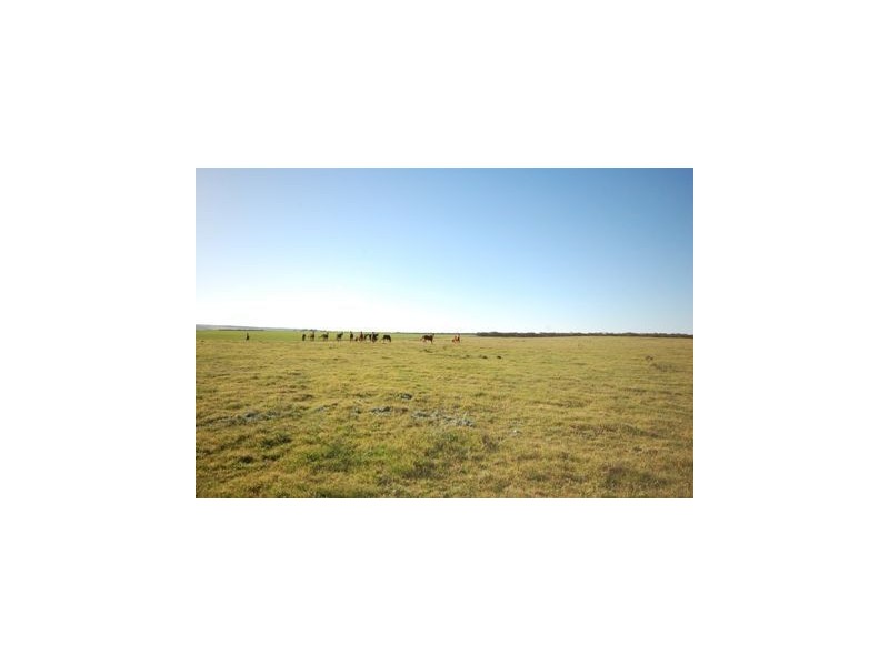 Lot 242 Flagstaff Road, Murray Bridge SA 5253