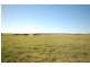 Lot 242 Flagstaff Road, Murray Bridge SA 5253