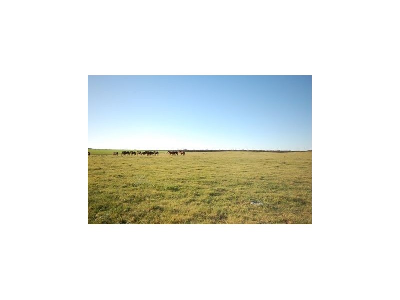 Lot 242 Flagstaff Road, Murray Bridge SA 5253