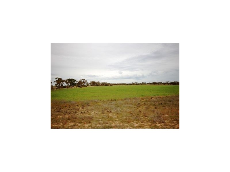 140 Mungala Road, Murray Bridge SA 5253