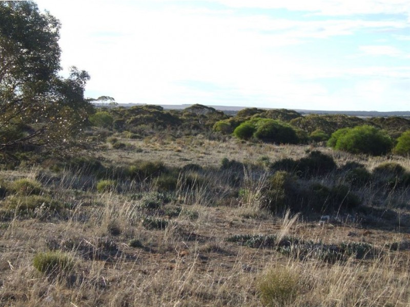 Lot 4 Bowhill Road, Murray Bridge SA 5253