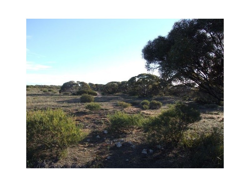 Lot 4 Bowhill Road, Murray Bridge SA 5253