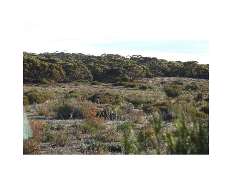 Lot 4 Bowhill Road, Murray Bridge SA 5253