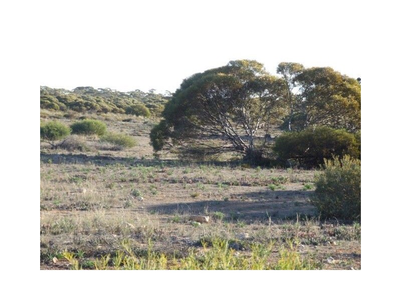 Lot 4 Bowhill Road, Murray Bridge SA 5253