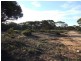 Lot 4 Bowhill Road, Murray Bridge SA 5253
