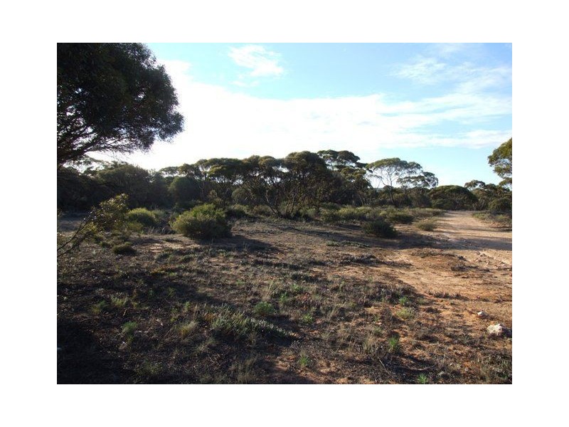 Lot 4 Bowhill Road, Murray Bridge SA 5253