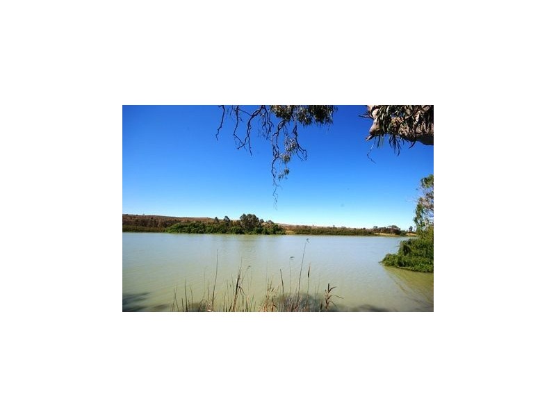 Lot 56 Perseverance Crt, Mannum SA 5238