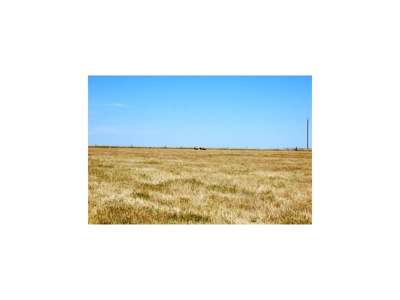 Lot 21 Mannum Road, Murray Bridge SA 5253