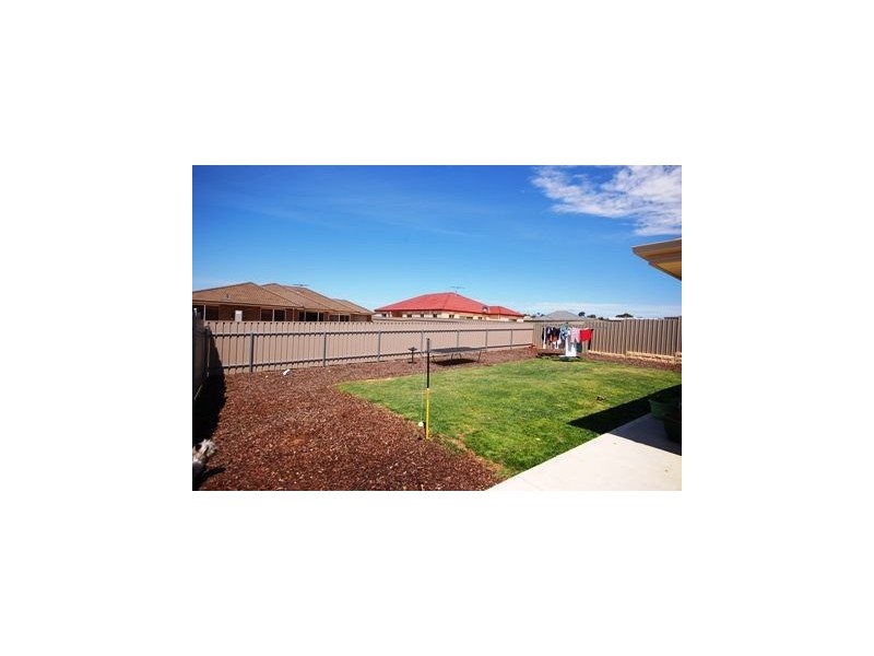 16 Willowbark Cres, Murray Bridge SA 5253