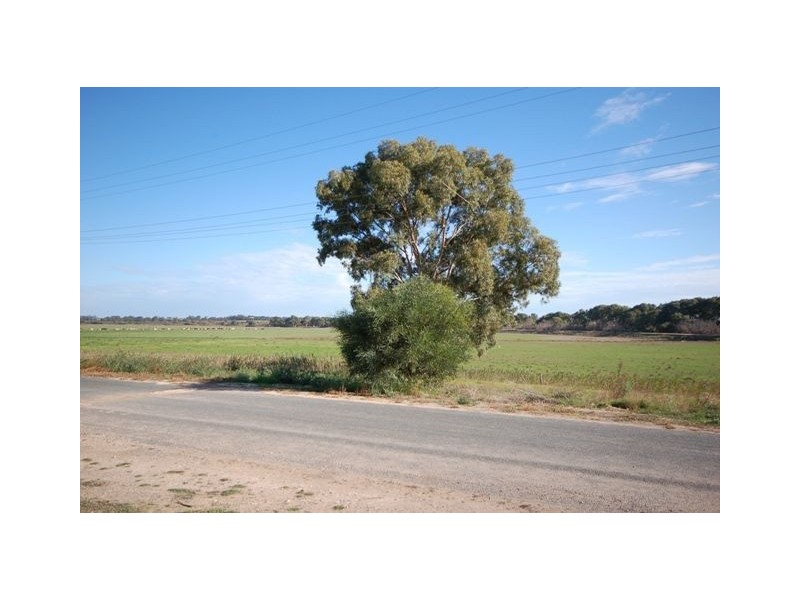 Lot 21 Bells Road, Murray Bridge SA 5253