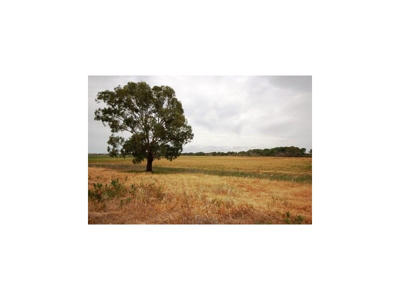 Lot 21 Bells Road, Murray Bridge SA 5253