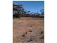 Lot 7 Greenshields Drive, Younghusband SA 5238