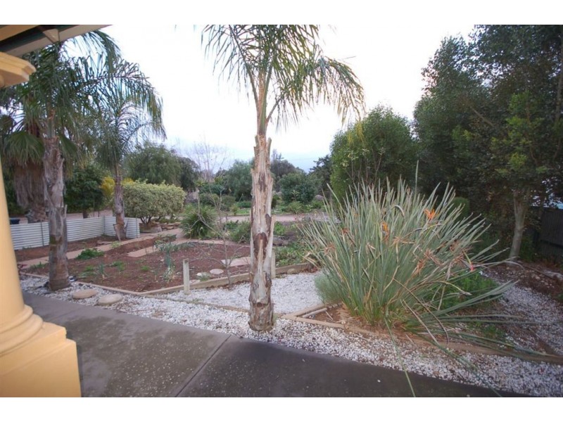 36 Clara, Murray Bridge SA 5253