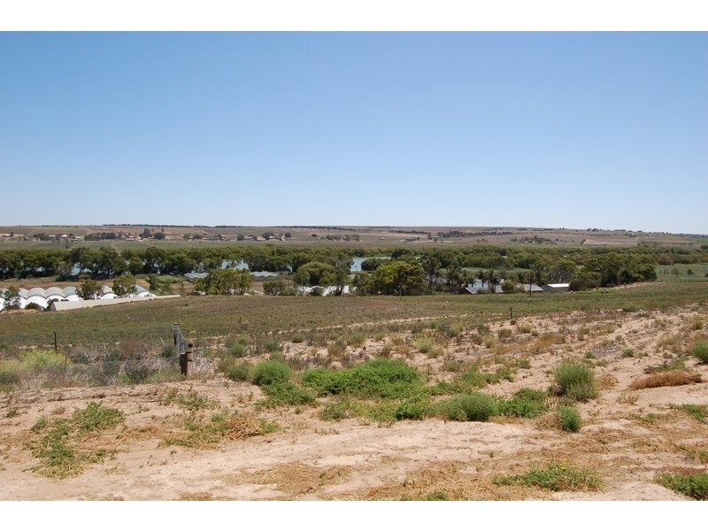 3151C Jervois Road, Murray Bridge SA 5253
