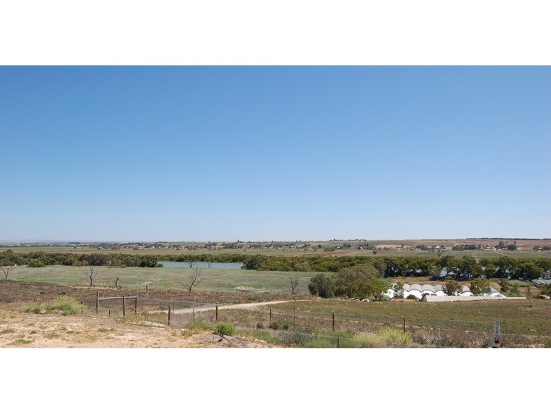 3151C Jervois Road, Murray Bridge SA 5253