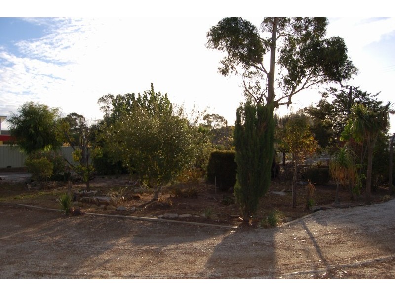 36 Clara Street, Murray Bridge SA 5253