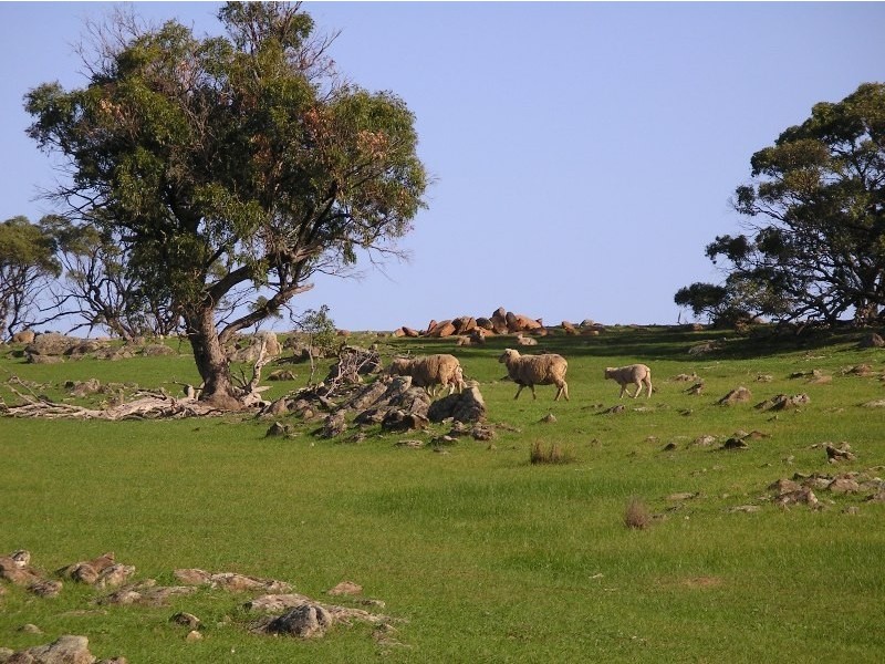 Lot 2 Rams Road, Rockleigh SA 5254