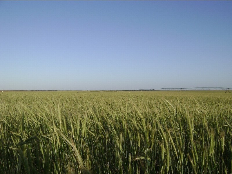 Sec 30, 132 & 133 Lameroo Road, Marama SA 5307