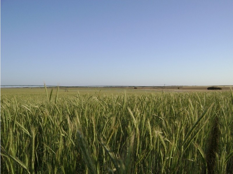 Sec 30, 132 & 133 Lameroo Road, Marama SA 5307