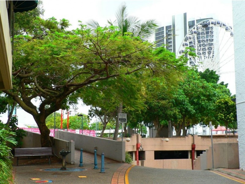 3 Alison Street, Surfers Paradise QLD 4217
