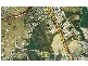3 Darlington Drive, Yatala QLD 4207