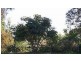 70 & 78 Karingal Drive, Pimpama QLD 4209