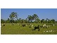 17 Maroolingar Road, Agnes Water QLD 4677