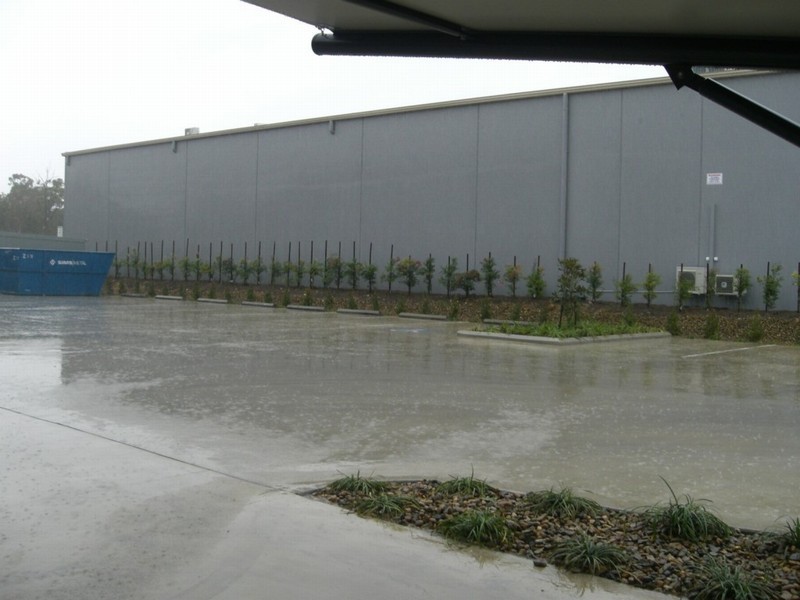 Upper Coomera QLD 4209