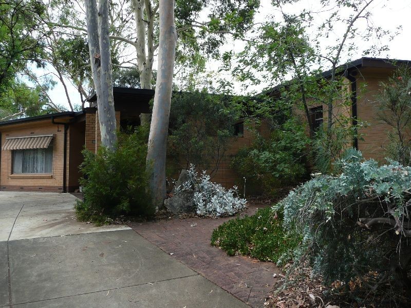 19 Vernons Drive, Highbury SA 5089