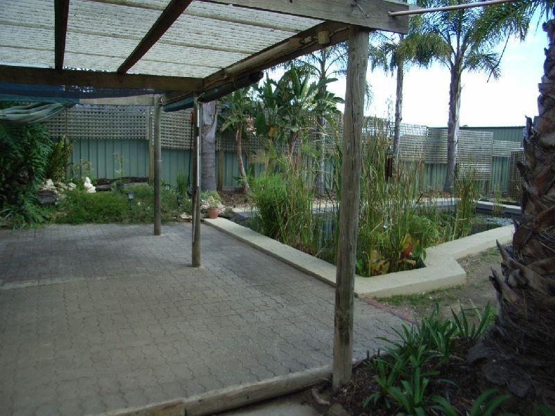 9 Barns Avenue, Highbury SA 5089