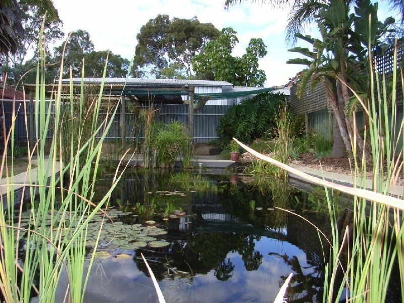 9 Barns Avenue, Highbury SA 5089