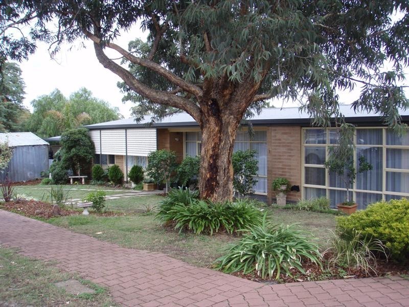 3 Armagh Street, Athelstone SA 5076