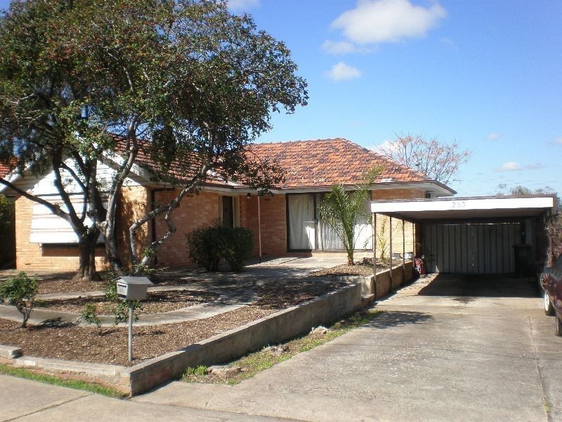 255 Wright Road, Valley View SA 5093