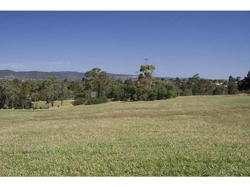 3 Geraldine Street, Valley View SA 5093
