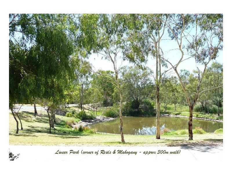 1 Rosewood Road, Highbury SA 5089