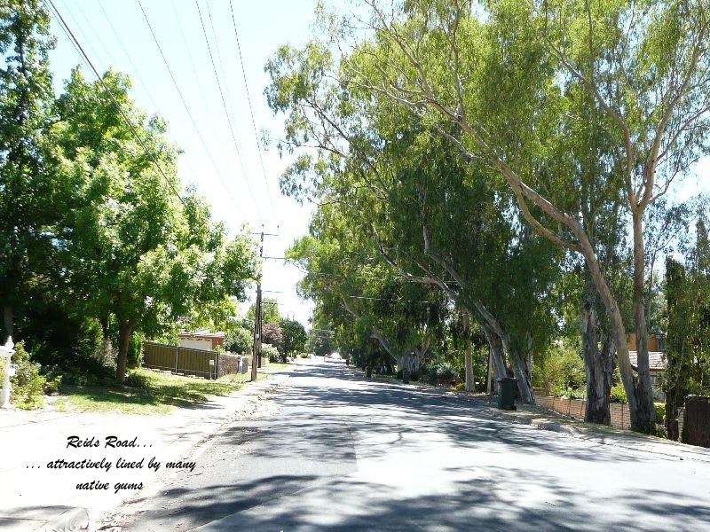 1 Rosewood Road, Highbury SA 5089