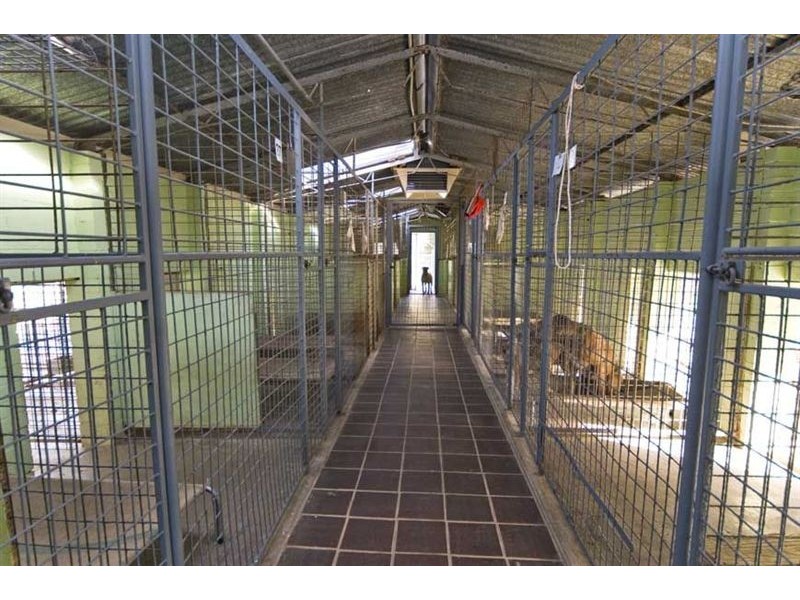 Sect 946 Fidlers Hill Road, Inglewood SA 5133