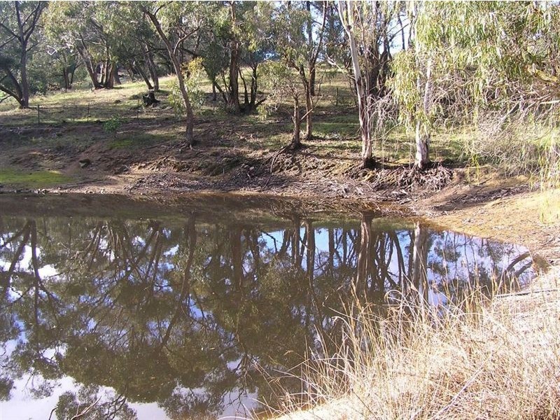 Sect 946 Fidlers Hill Road, Inglewood SA 5133