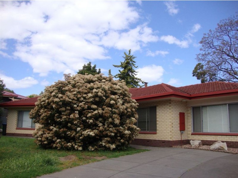 1 Philip Street, Valley View SA 5093