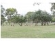 42 Hender Avenue, Klemzig SA 5087
