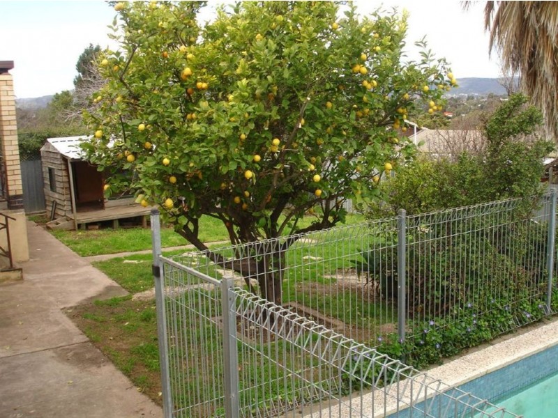 79 Eyre Crescent, Valley View SA 5093