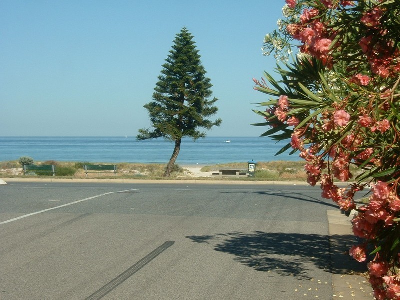 4/11 Alexander Street, Largs Bay SA 5016