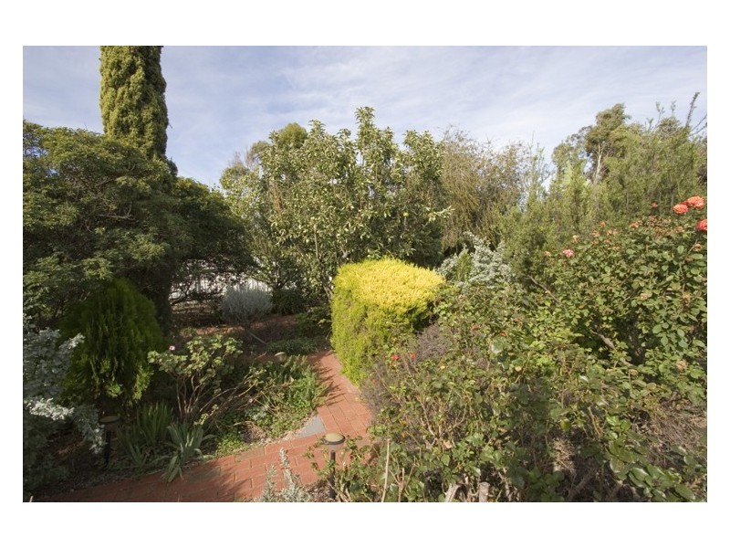 3 Trenwith Street, Kadina SA 5554