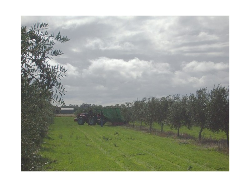 1620 Sobey Road, Kadina SA 5554