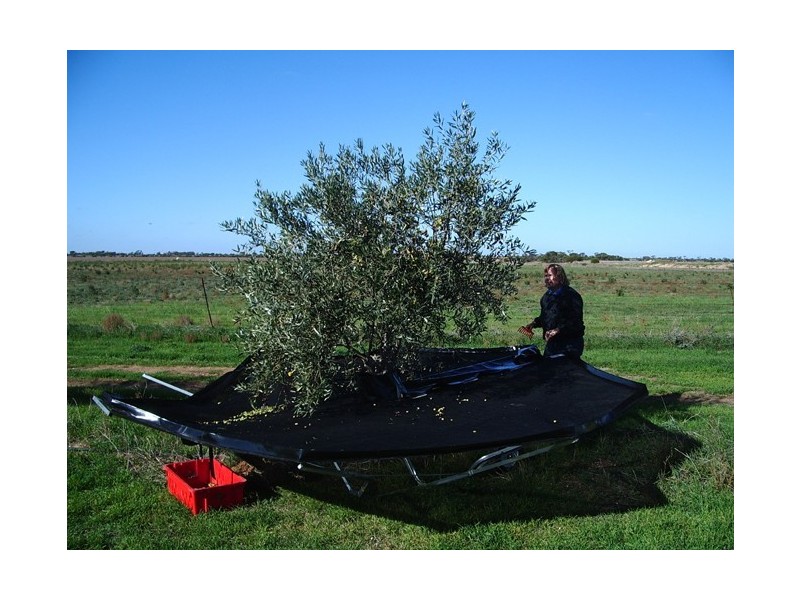 1620 Sobey Road, Kadina SA 5554